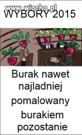 Idą wybory