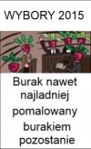 Idą wybory