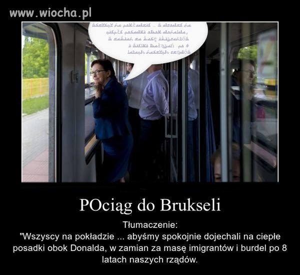 Może to jest ten
