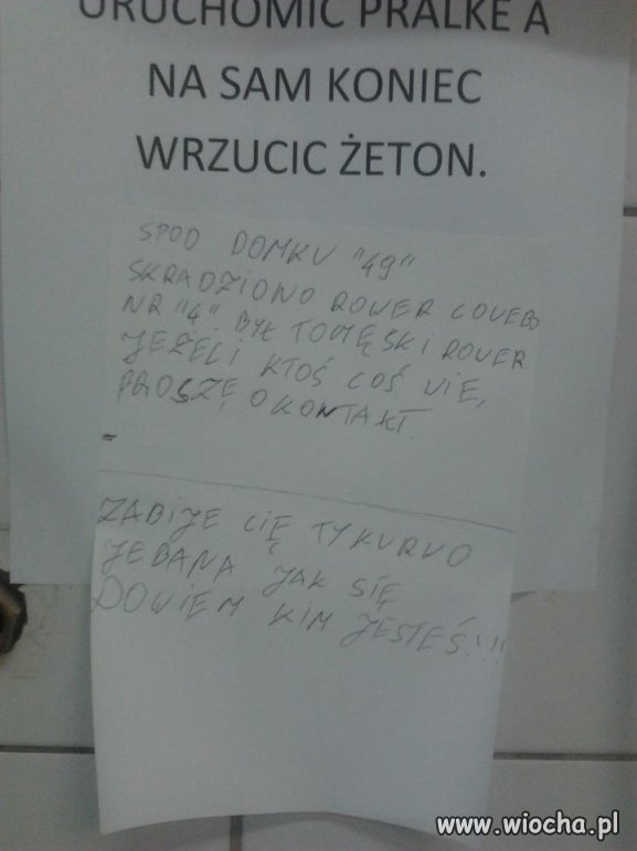 Polacy na campingu w Holandii
