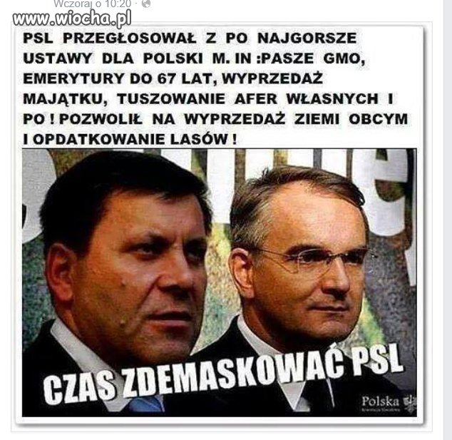 PSL. Moda teraz na robienie laski (Sikorski).