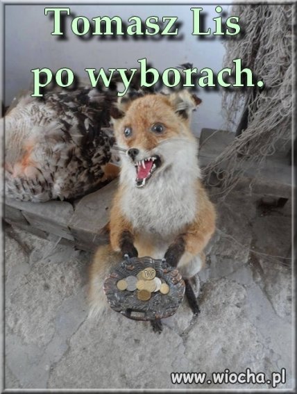 Tymczasem po wyborach 