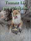 Tymczasem po wyborach 