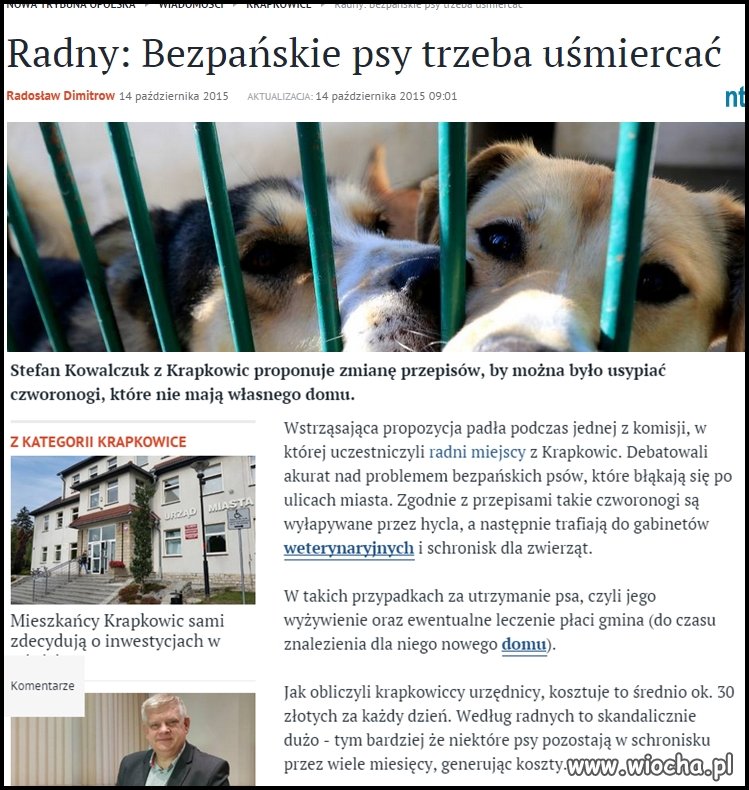 Katolik co niedziela w kościele