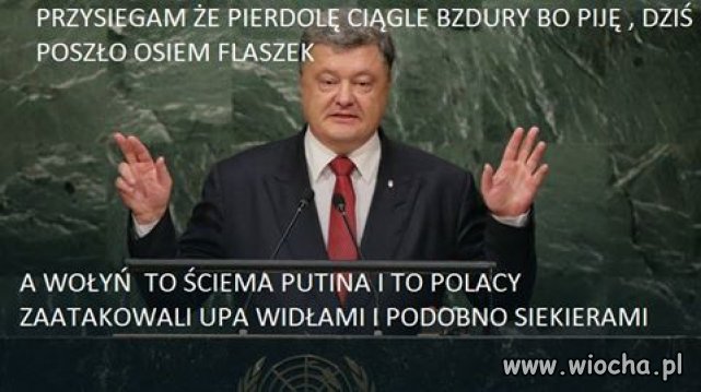 Nasi włażą mu w du.ę