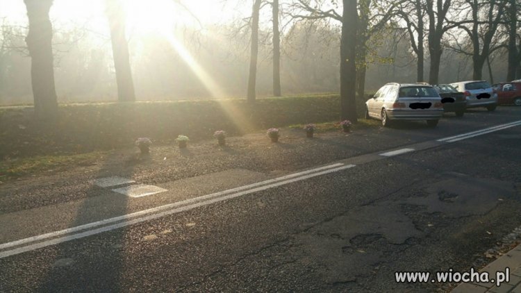 Rezerwacja miejsc parkingowych pod cmentarzem