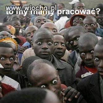 Doo pracyy