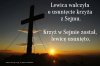 W efekcie  krzyżyk wam..