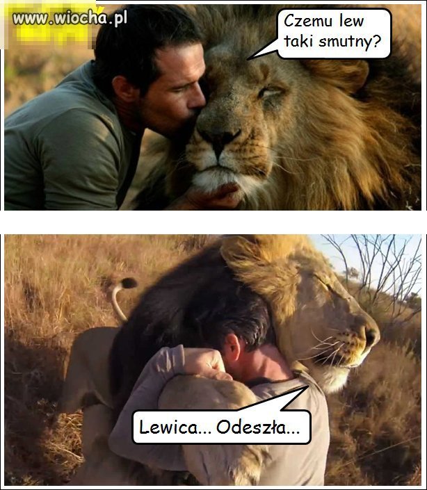 Tak na poprawienie humoru 