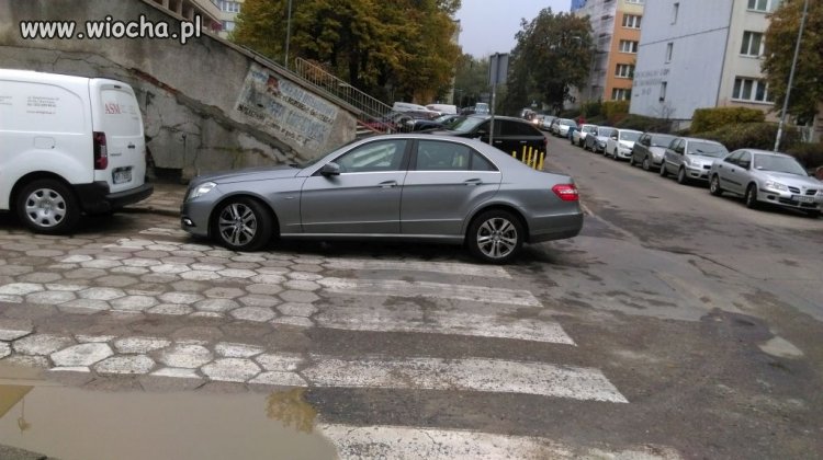 Kolejny geniusz z Polic w Szczecinie