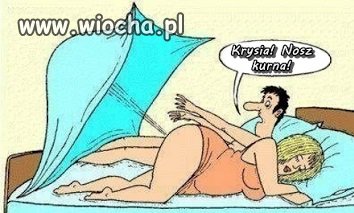 Cała prawda 