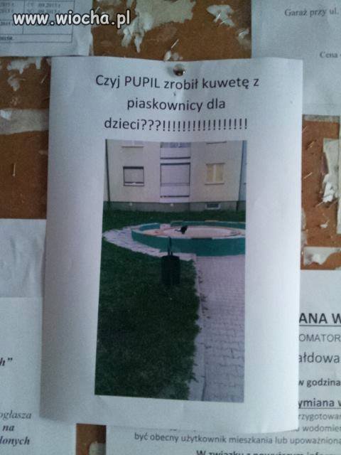 A potem dzieci grzebią w gównie