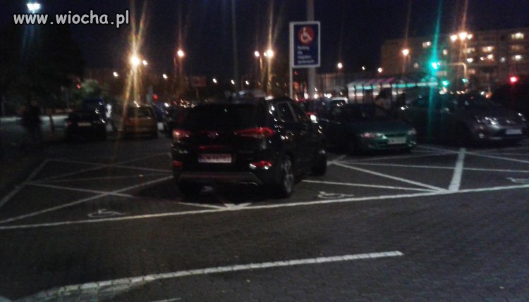 Burak przed Tesco Włocławek