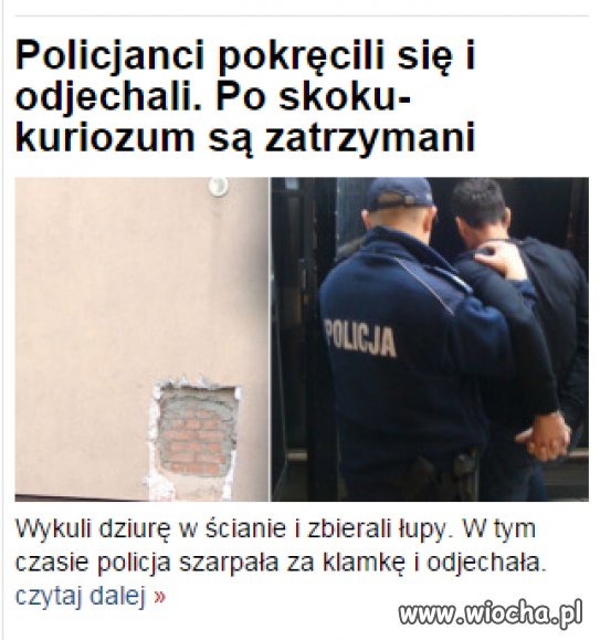 Mistrzowie profesjonalizmu