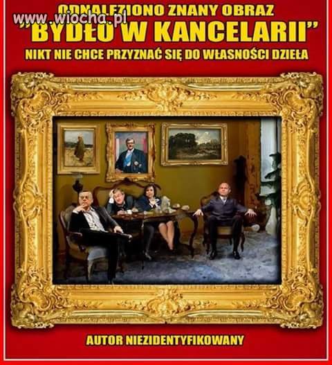 Bydło w kancelarii