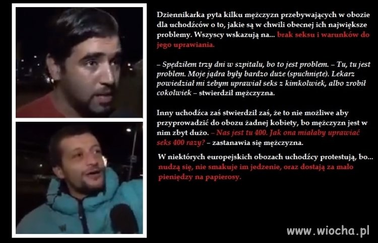 Uchodźcy domagają się seksu 