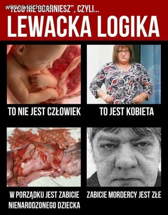 Lewacka "logika'
