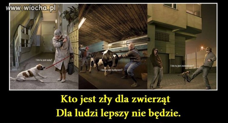Szczera