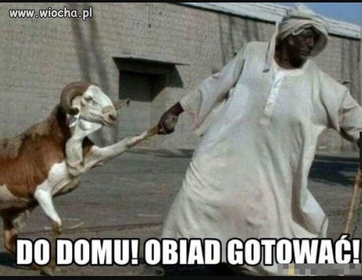 Ech te wasze fakultety!