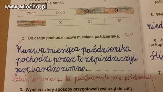 I dzieciak miał rację