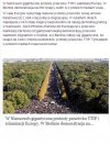 Berlin 250tys osób manifestuje przeciw islamizacji