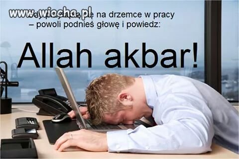 Tymczasem w pracy...