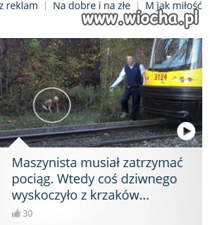 Tępy jak zwykle nagłówek