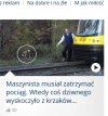 Tępy jak zwykle nagłówek
