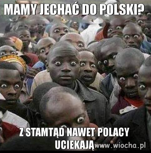O uchodźców raczej nie mamy sie co martwić