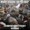 O uchodźców raczej nie mamy sie co martwić