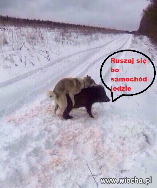 Ruszaj się 