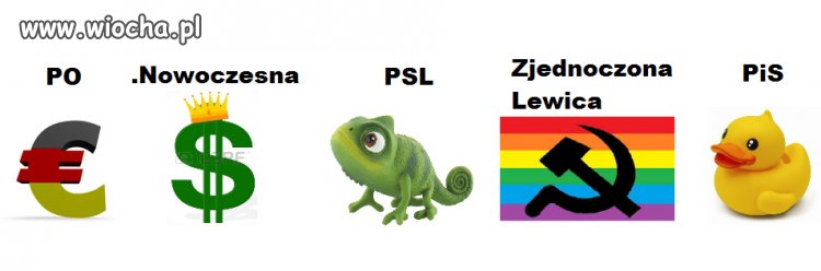 Na kogo głosować?