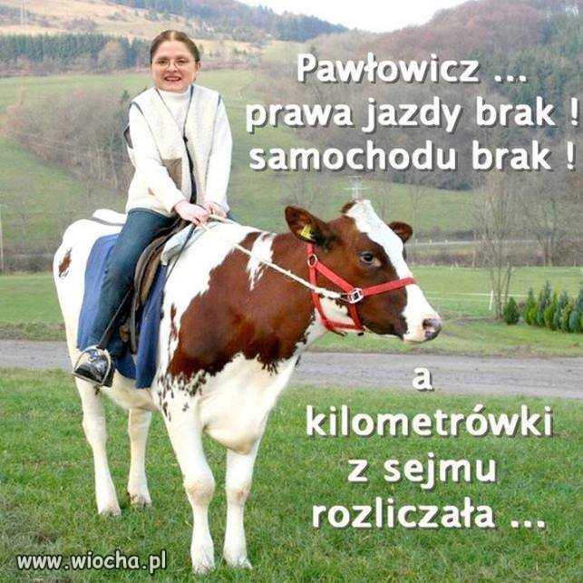 Magia czy ...