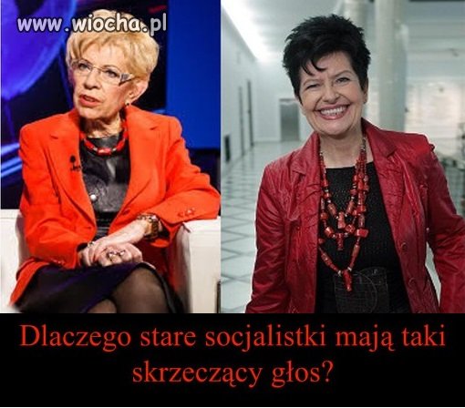 Polityka