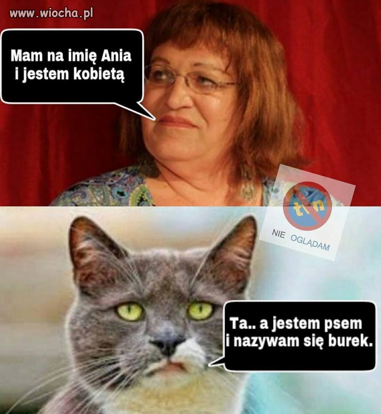 To ma być normalne..