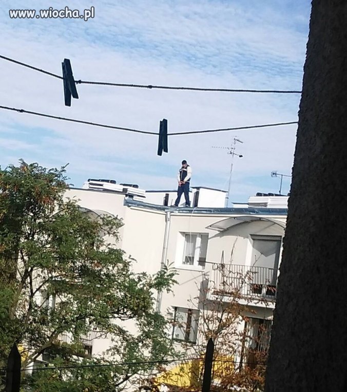 Kultura na najwyższym poziomie 