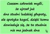 Motto na dziś dla wioskowych przygłupów 
