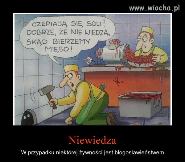 Niewiedza 