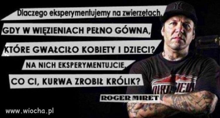 W sumie jest w tym trochę racji