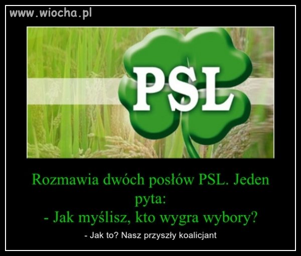Piechociński już zapowiedział...