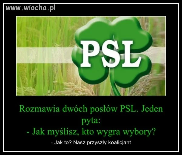 Piechociński już zapowiedział...