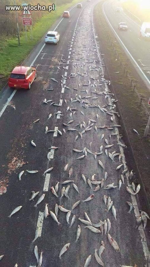 Śmierdząca sprawa