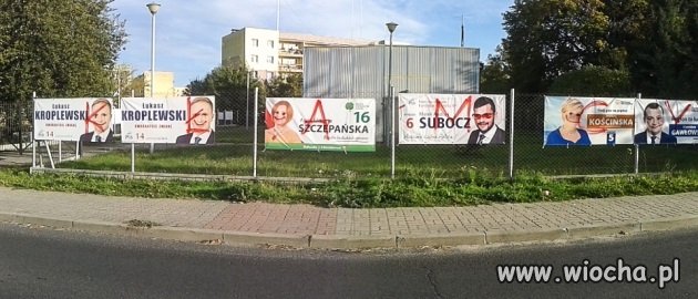 Kampania wyborcza