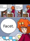 Facet - definicja
