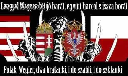 Wojsko Polskie do Obrony granic naszych braci!!!