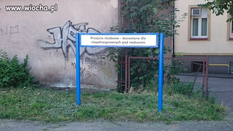 Służba nie drużba 