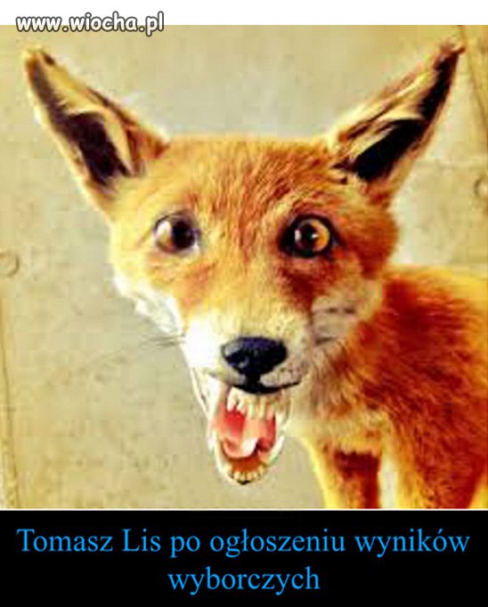 Jedno z niewielu selfie