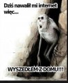 Rzeczywistość .