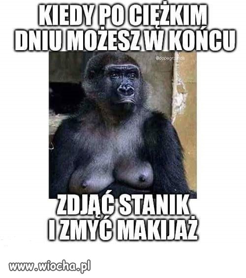 Trochę prawdy