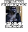Trochę prawdy